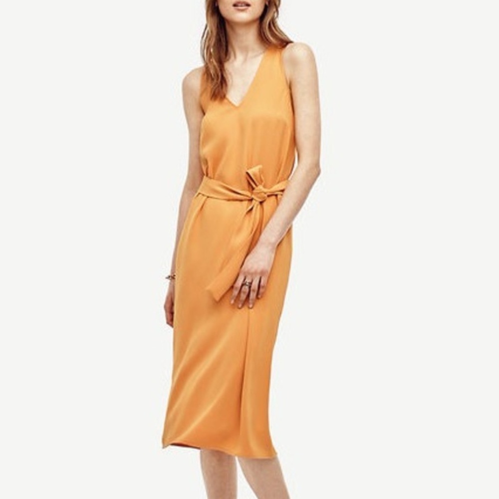 NWT Ann Taylor Orange Cream Trapeze Tie Dress- 4P